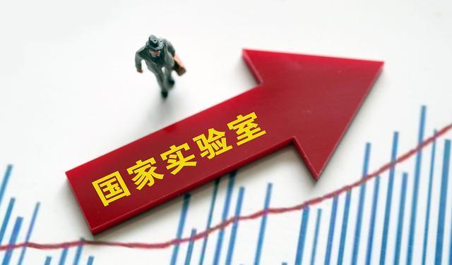 在大唐盛世中如何实现财富增长