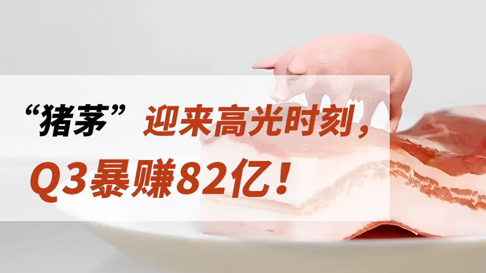 圈子糟糕赚钱轻松何谓此类成语