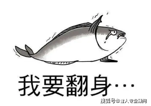 咸鱼鱼塘塘主盈利模式揭秘何为咸鱼鱼塘