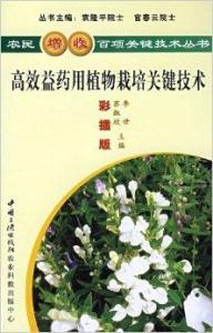 哪些作物种植高效益省时省力赚钱之道