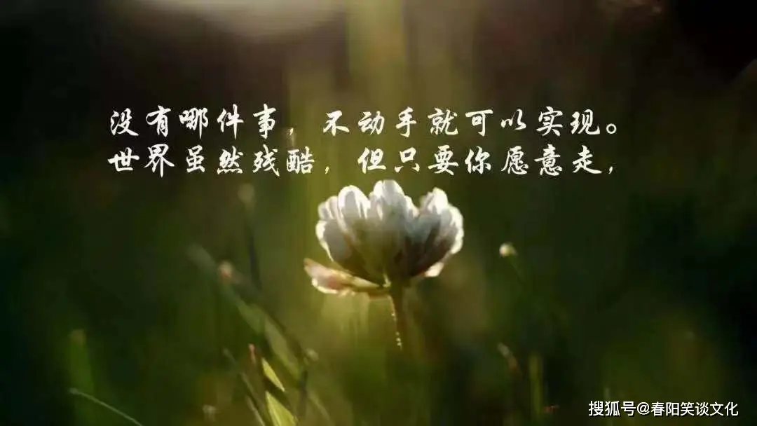女性赚钱的霸气配音哪些励志句子能激发力量