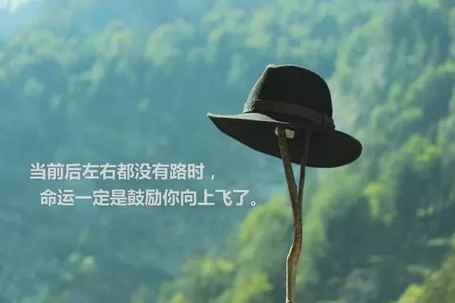 女性奋斗致富追求何在金钱背后的意义解读