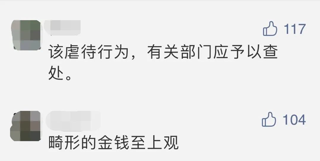 女生在培训机构直播真的能赚钱吗平台优势何在