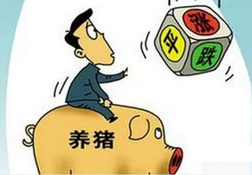 非洲农村哪些行业能赚钱揭秘当地致富之道