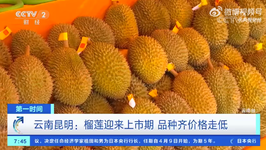 青岛街头卖榴莲利润如何探究青岛市榴莲售价
