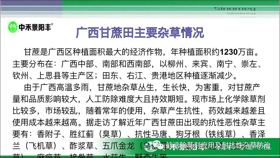 村里哪些商品赚钱快揭秘本村销售热门盈利项