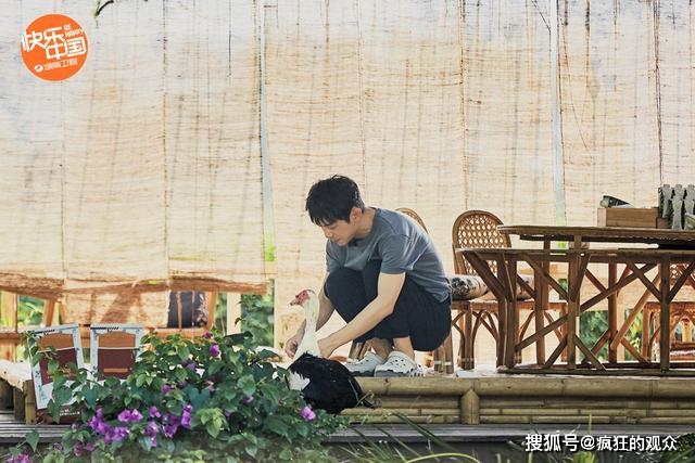 悠闲生活真的能赚钱吗揭秘向往的生活之道