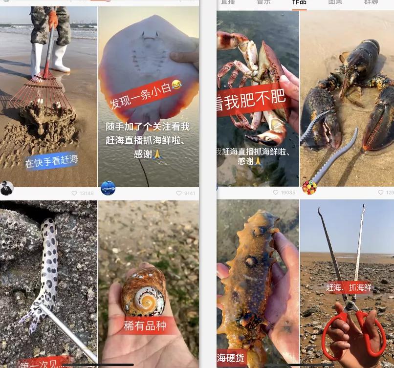 青岛海边捡鲍鱼真的能赚钱吗探秘海边的捡鲍鱼热潮