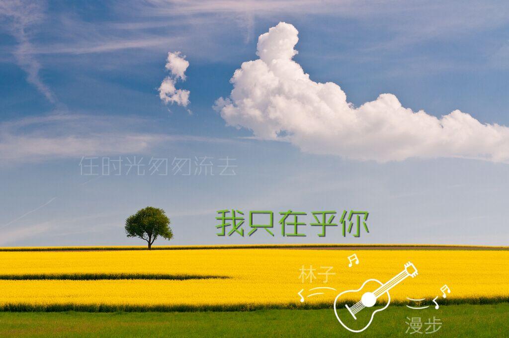 校运会拍照如何盈利掌握哪些摄影技巧