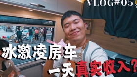 摆地摊卖冰淇淋真的能赚钱吗