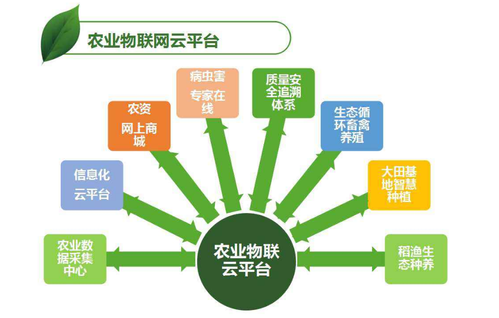 探索国学网络盈利之路哪所网校更具优势