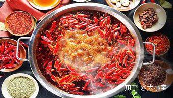 拍家常美食怎在头条赚钱如何成为美食领域作者