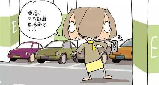 曲靖卖仓鼠利润如何一探货源寻找之路