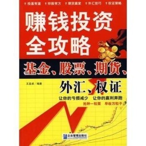 黑市外汇如何运作赚钱揭秘交易规则与秘密