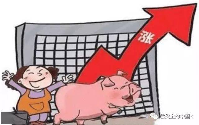 本科女生卖猪肉盈利前景如何