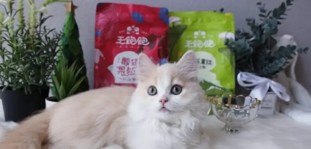 手机养宠物能赚钱吗揭秘虚拟宠物饲养盈利之道