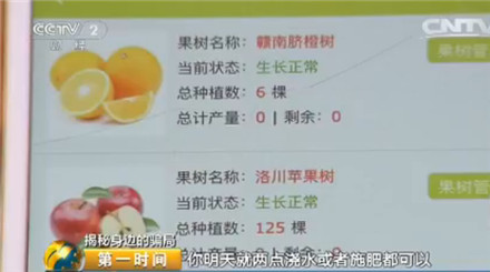 果园里哪些赚钱方式可行有趣的活动又有哪些