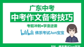 南柯代刷和楠科代刷哪个更靠谱