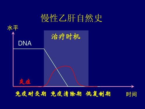 刷代酶是什么了解其作用与效果