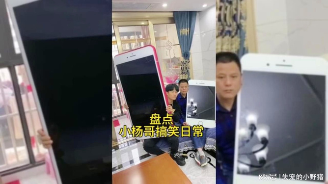 加代杨哥在澳门刷米厂是真是假