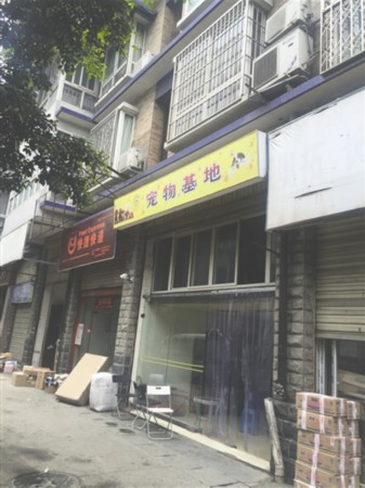 南川宠物医院地址在哪南川哪里有宠物市场