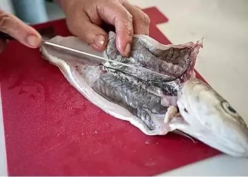 喵多鱼代刷靠谱吗安全高效吗