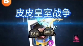 如何高效选择提卡低价卡盟与tiki卡盟的最佳方案