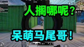 为什么骑马与卡盟杀老被宣战20骑马卡如何应对