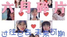 为什么选择薇儿最低价代刷vlog内容大放送