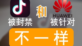 海城卡盟拼音版怎么选海诚卡盟官网优势对比