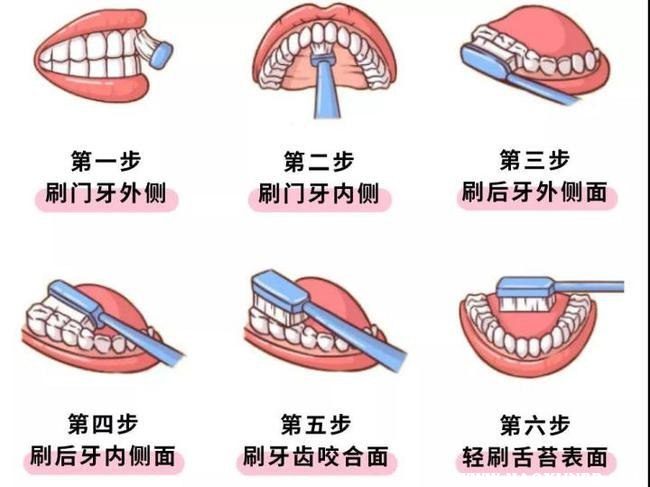 电动牙刷怎么竖着刷第三代竖刷牙刷正确姿势