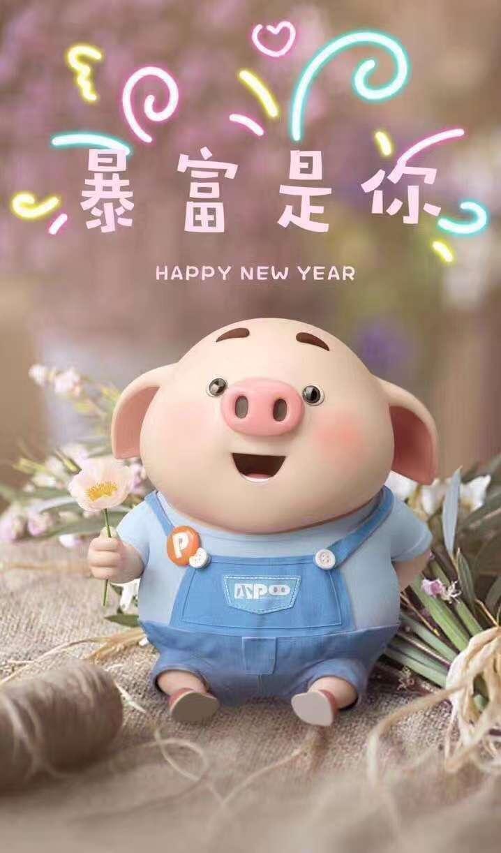 嘟嘟猪图片大全哪里找猪嘟嘟卡盟热门资源汇总