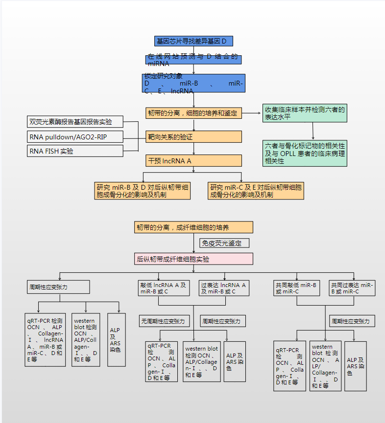 沙丘之主图卡盟展示技巧主线剧情发展三阶段