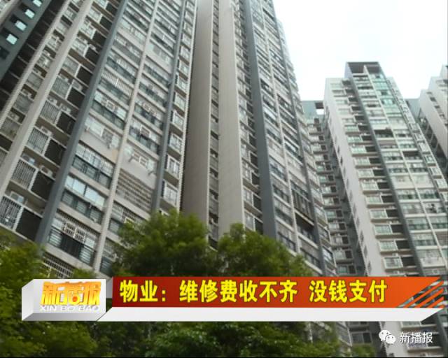 盟科视界电梯卡长啥样9号楼b公寓居住体验如何