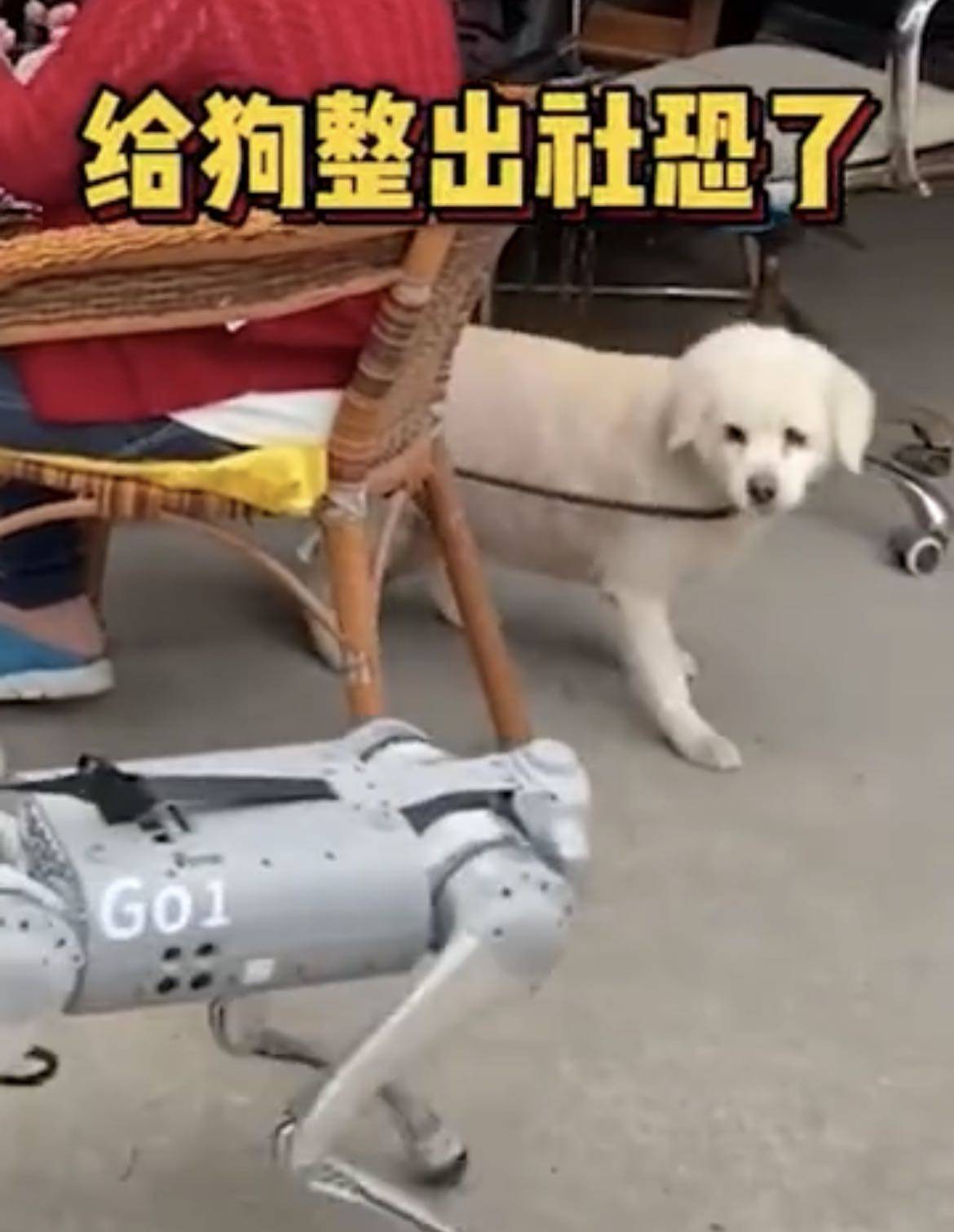 吃鸡机器狗是什么绝地机器狗如何辅助卡盟