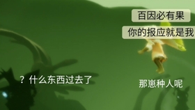 皮皮虾卡遇境不管用皮皮虾卡盟官网使用问题解决