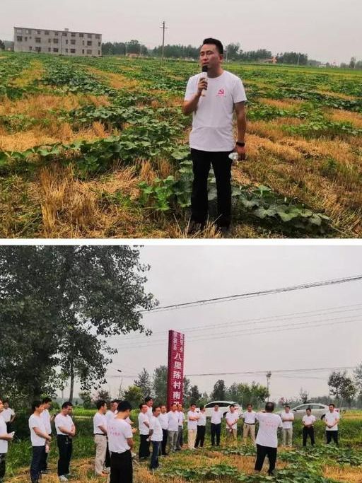 百度里追梦卡盟和追梦联盟到底哪个才是你的选择