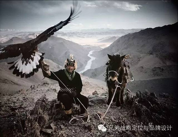 猎鹰刷赞的真相是什么