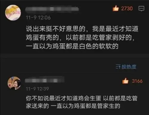 什么是贼火网刷赞