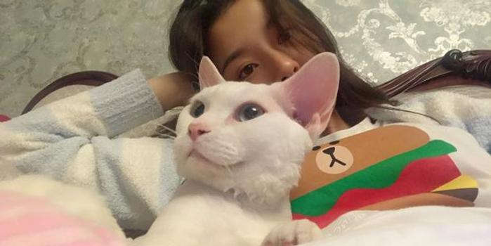 小仙女如何带刷赞