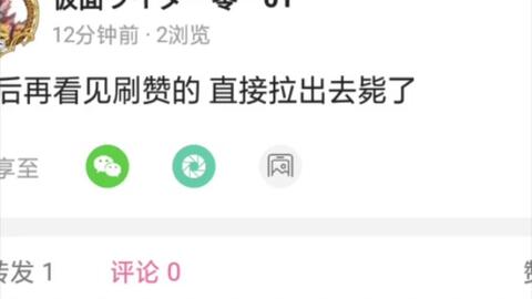 刷粉丝刷赞是什么意思