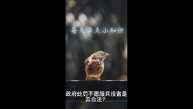 刷赞会有什么处罚