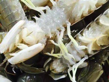 皮皮虾刷赞神器怎么用