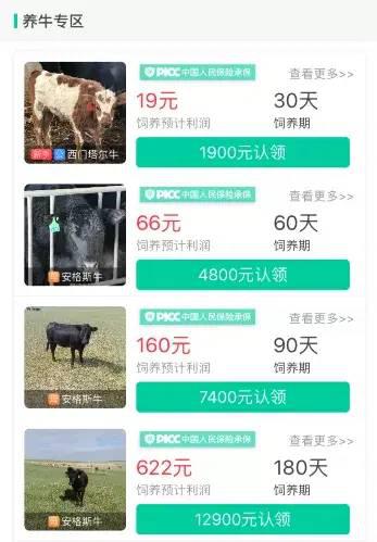 为什么墨言是刷赞网站的最佳选择