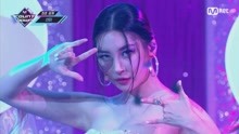 紫夜刷赞网是什么