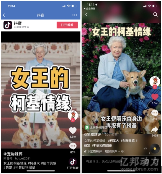 为什么在微信企业群里刷抖音点赞