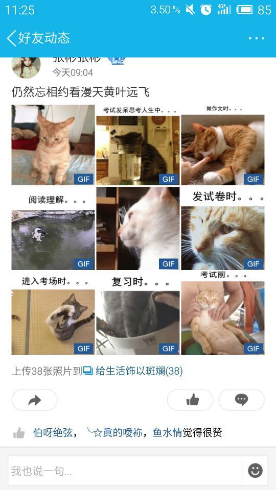 空间转发动态如何刷赞