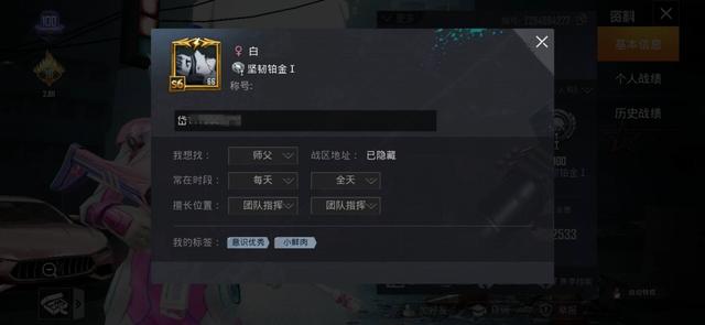 和平精英q区刷主页赞群是什么