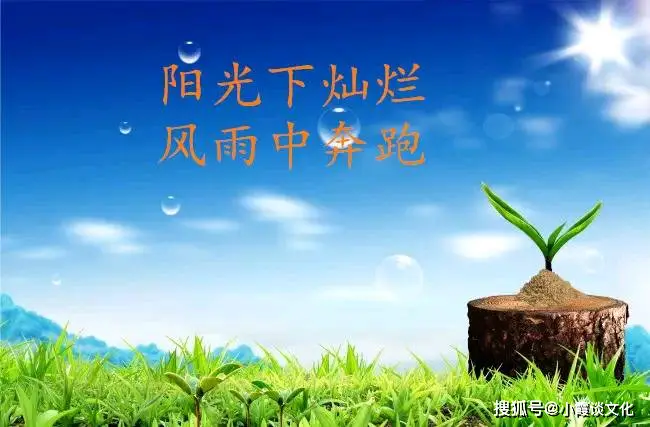 为何有些语录刷到就让人忍不住点赞