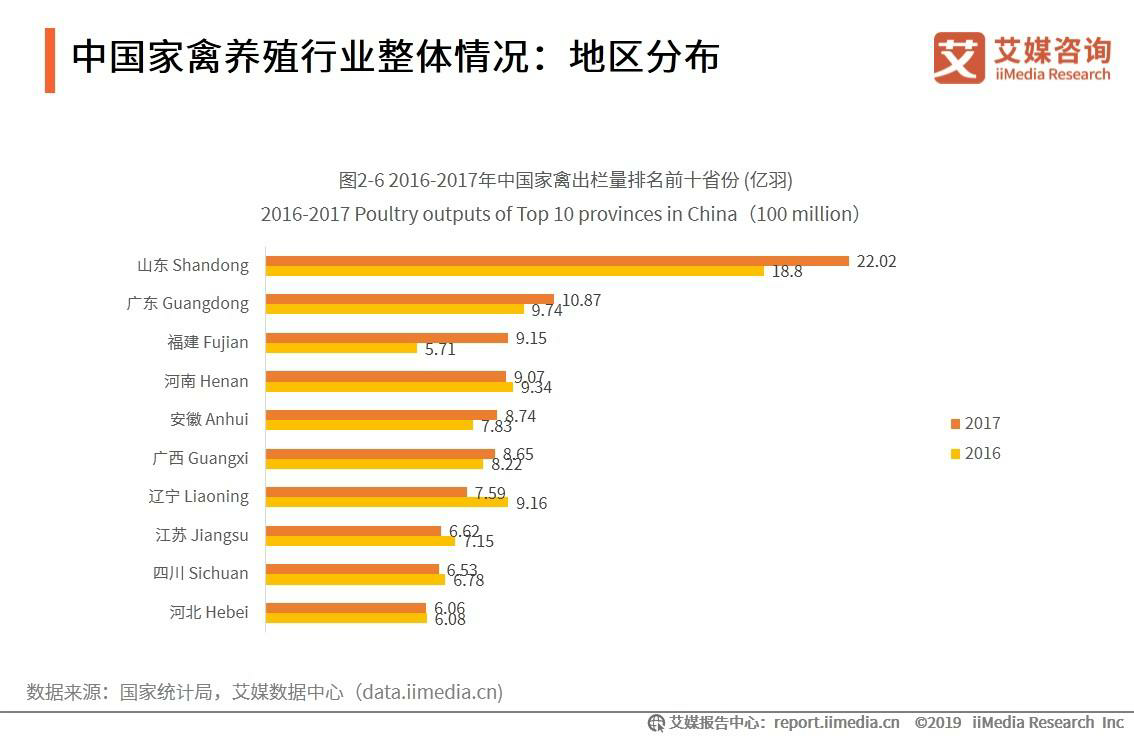 刷赞网域名是什么以及为什么选择专业域名对刷赞服务发展至关重要